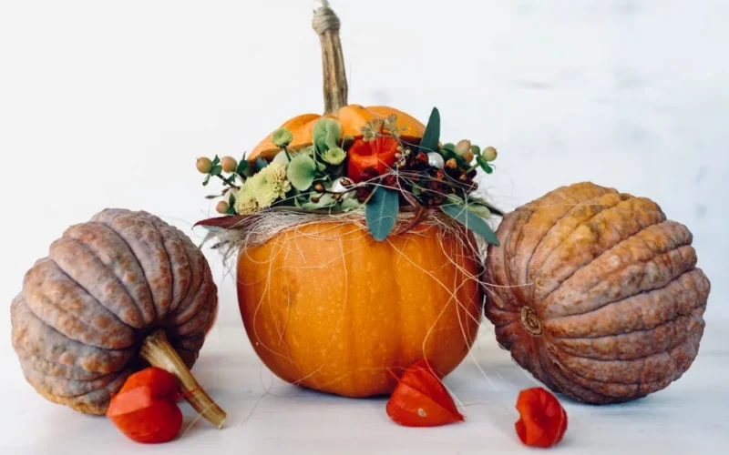 Beautiful decorative arrangement of pumpkins and gourds with vibrant fall foliage capturing the essence of autumn.