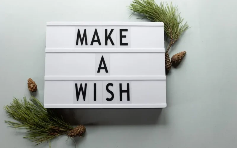 Top view of Make A Wish title on signboard above spruce sprigs with pine cones during New Year holiday on light background