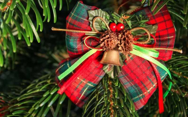 christmas pictures, christmas, pine tree, christmas ornament, tree decorations, zielony, christmas decorations, christmas decoration, advent, greeting card, christmas motif, dekoracja, christmas time, christmas, christmas, christmas time, christmas time, christmas time, christmas time, christmas time