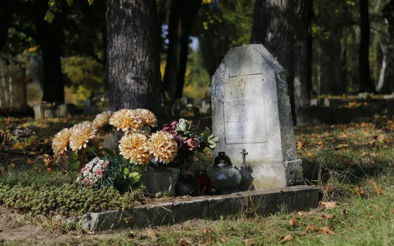 cmentarz, świerczewo, ii wojna światowa, poznań, destroyed, cemetery, poznan, poland, poznań, poznań, poznań, poznań, poznań, cemetery, poznan, poland