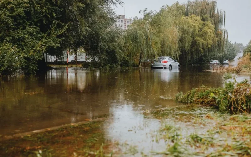A car driving through a flooded street surrounded by lush trees and urban buildings.