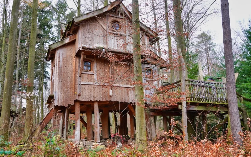 treehouse, drewniana hata, treehouse hotel, las, waldhotel, hotel, drewno, architektura, pokój, dom, turystyka, natura, wakacje, podróżować, krajobraz