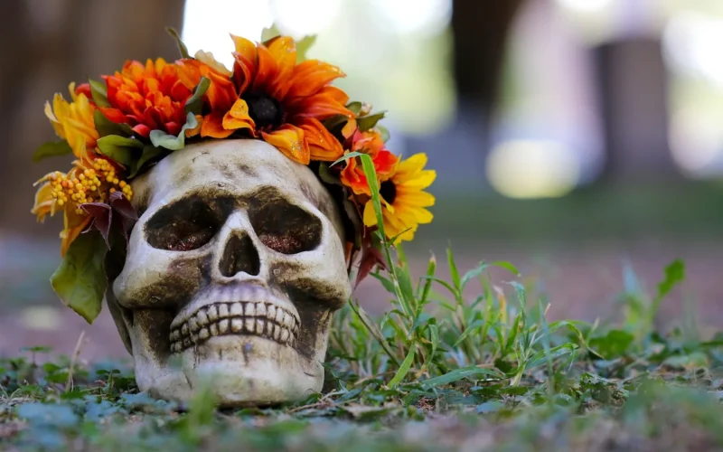 halloween, czaszka, diy, diy czaszka, czaszki i kwiaty, kwiat czaszka, czaszka cukrowa, cukrowe czaszki, trick or treat, przerażający, cmentarz, spadek, pomarańczowe kwiaty, nie żyje