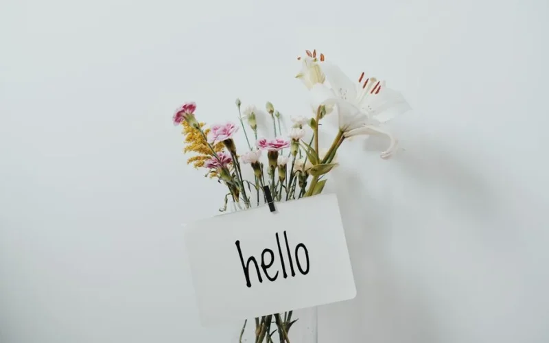 A colorful bouquet of wildflowers with a greeting card saying 'hello' on a simple background.