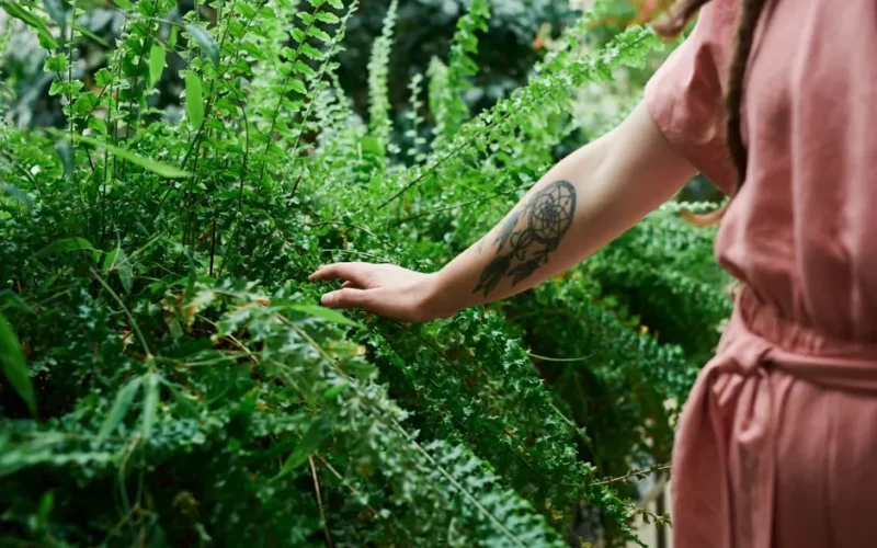 A tattooed arm extends to touch lush green foliage, showcasing nature's texture.