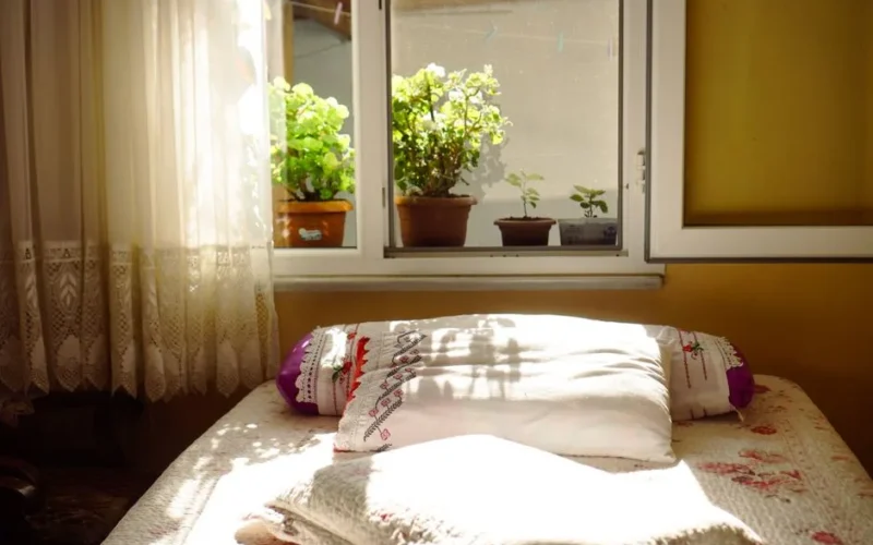 A cozy bedroom bathed in sunlight, featuring potted plants on the windowsill.