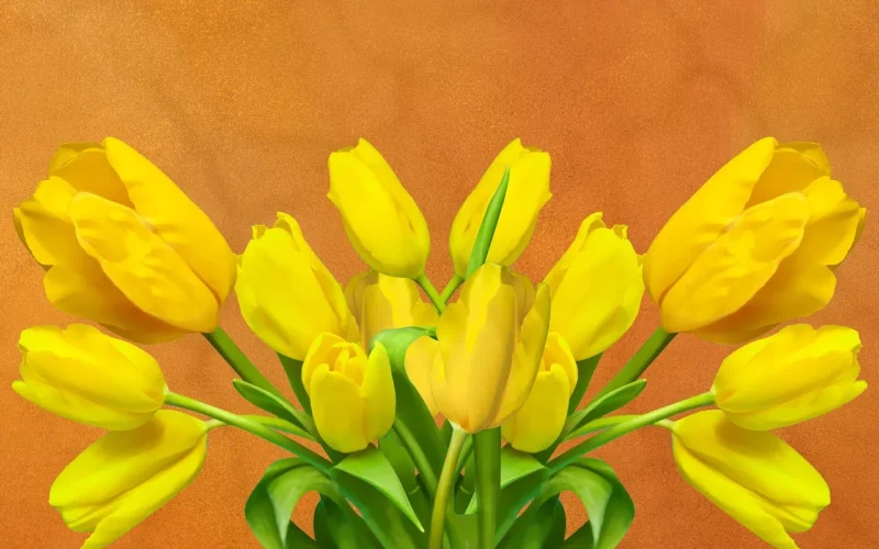 tulipan, kwiat, natura, zakład, kwiatowy, liść, ogród, odchodzi, kwiaty, płatek, bukiet kwiatów, tło, kartka z życzeniami, wielkanoc, dekoracje, wiosna, kwiatowy wzór, żółty, pocztówka, piękny, szlachetny, żółty zielony, zielono żółty, ścieśniać, żółty kwiat