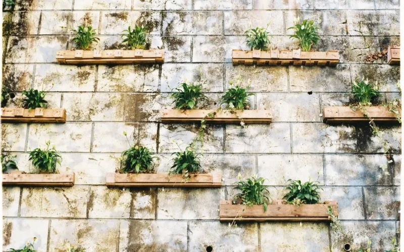 A vertical garden on a weathered concrete wall with wooden planters and green plants.