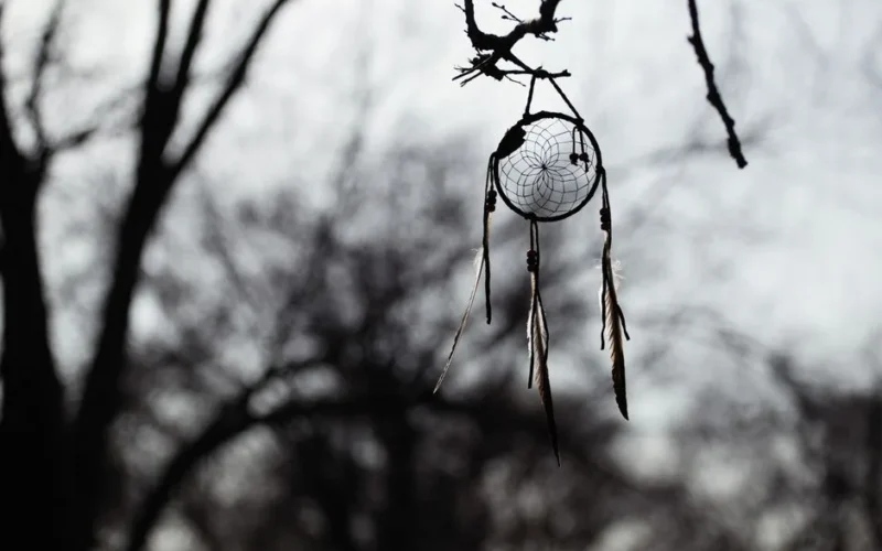 A silhouetted dream catcher hanging from a bare tree branch in a winter forest.