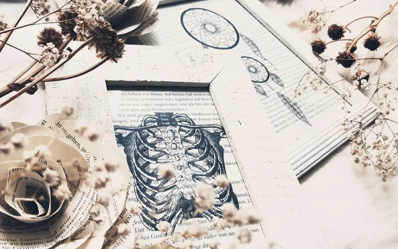 vintage, stary, retro, nostalgia, tapeta kwiatowa, książka, napisać, książki, strony książki, czytać, deco, home decor, kwiat róży, róża, natura, kwiat, biały, piękne kwiaty, kwiat tło, szkielet, kość, zdjęcie, ramki na zdjęcia, rama, dream catcher, instalator, projektowanie wnętrz