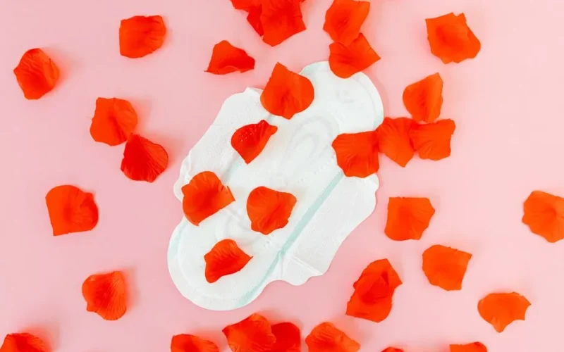 White sanitary napkin surrounded by red petals on a pink background, representing menstruation and feminine hygiene.