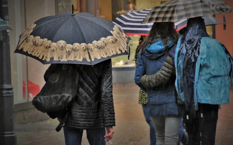 parasol, deszcz, mokre, ulicy, miejskich, rainy day, wody, osoby, człowiek, ludzie, parasole, w deszczu, plama, kropla deszczu, ponuro, raindrops, wilgotne, morgrntau, kurtka, natura, mokro, urban street