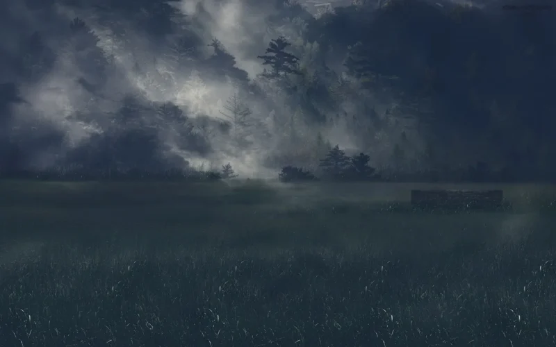 foggy, las, drzewo, fog, trawa, natura, noc