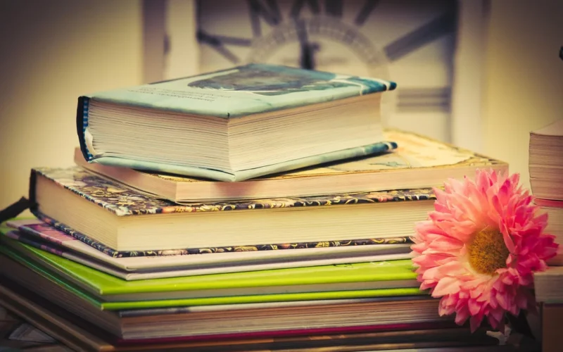 książki, book stos, czas, czytać, literatura, ułożone, regał, przeglądaj