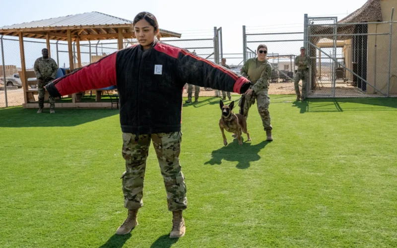 U.S. Air Force Airman Amy Arias, 332nd Expeditionary Air Base Group command support section personnelist, prepares for military working dog, Fany, to bite her, during an EABG leadership immersion tour in the U.S. Central Command area of responsibility, Nov. 13, 2025. The training gear allows members to experience MWD operations up close while maintaining a safe environment. (U.S. Air Force photo by Senior Airman Kari Degraffenreed)