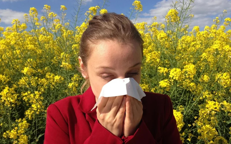 alergia, medyczny, uczulony, alergen, zdrowie, medycyna, pyłek kwiatowy, reakcja, alergia, alergia, alergia, alergia, alergia