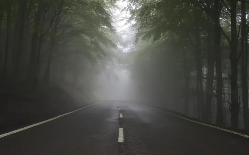 future, przyszły, fear, strach, niepewność, uncertainty, ścieżka, autostrada, droga, way, las, drzewa, lekki, path, strachu, zukunft, unsicherheit, wald, weg, straße, neblig, natura, mgła