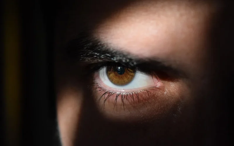 eye, eyes, dark, obserwacja ptaków, observing, vigilant, seeing, hidden, pupil, blisko, spy, lekki, stoisko, irys, close up, szczegół, facet, eye, eye, eye, eye, eye, eyes, dark, spy, spy