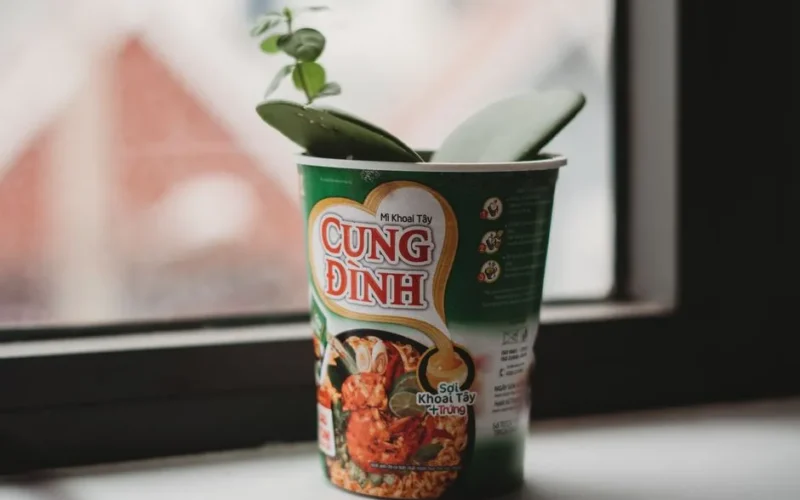 A creative reuse of an instant noodle cup as a plant container on a window sill.