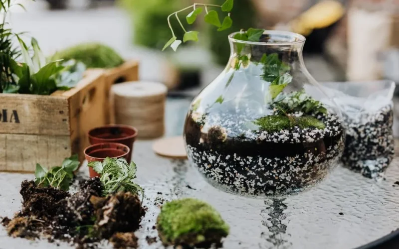 A vibrant DIY terrarium project with plants and soil showcased on a patio table, ideal for home gardening enthusiasts.