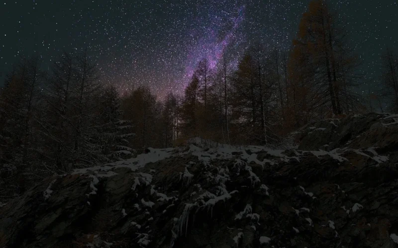 panorama, drzewo, natura, noc, zima, night sky, найтски, gwiazdy, las, śnieg, night sky, night sky, night sky, night sky, night sky