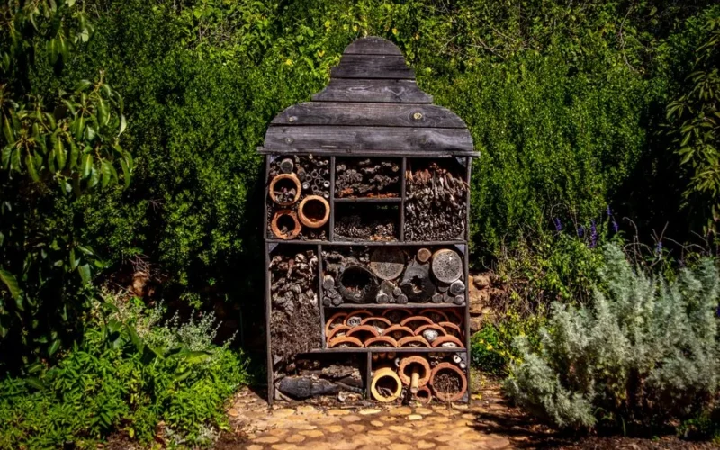 Wooden insect hotel surrounded by green plants in vibrant garden atmosphere, showcasing biodiversity.