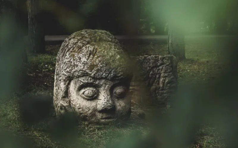 Eerie stone head sculpture in forest, surrounded by greenery, evoking mystery.