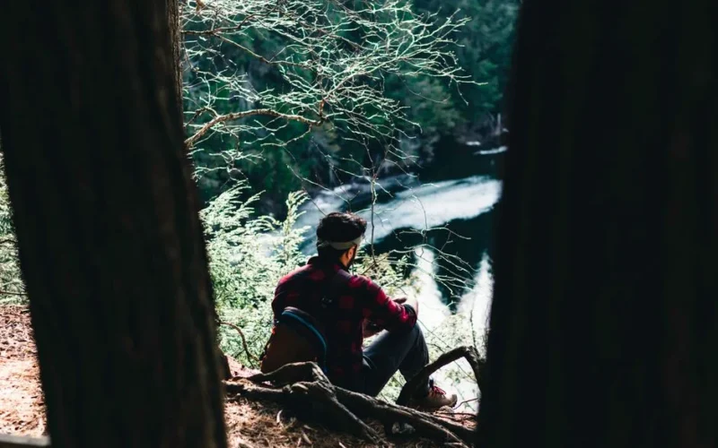 A man sits by a lake, surrounded by trees and nature in Algonquin Park, Canada.