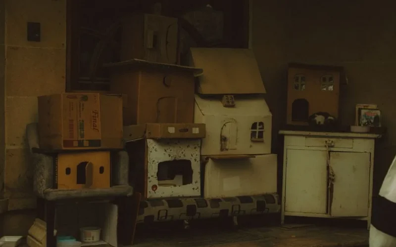 A collection of homemade cardboard cat houses resting on a porch, providing shelter for stray cats.