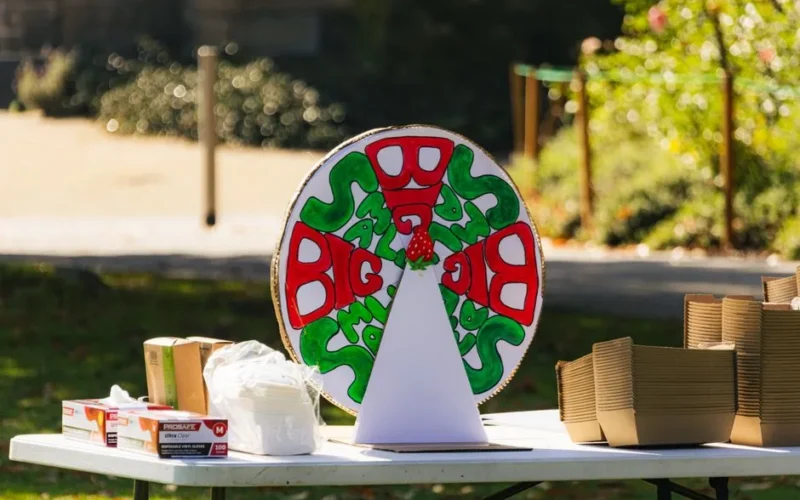 Colorful prize wheel setup on a table at an outdoor event in a park. Fun and engaging setup for visitors.