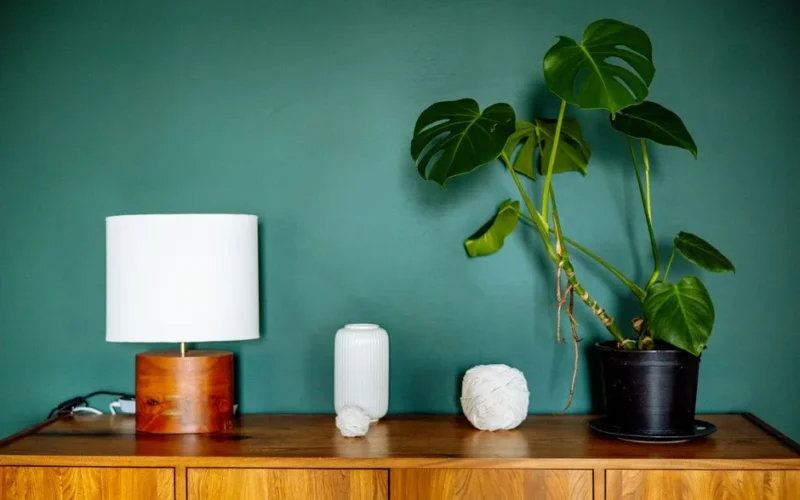 A stylish wooden dresser with a monstera plant, lamp, and decor against a green wall.