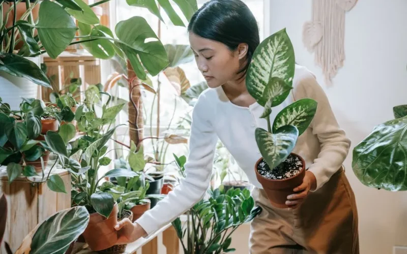 An Asian woman arranging and nurturing potted plants in a cozy home garden.