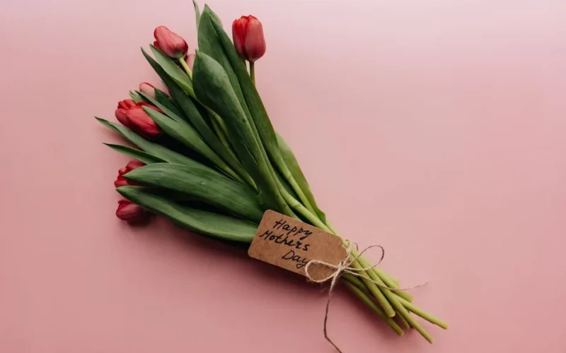Elegant bouquet of red tulips with 'Happy Mother's Day' tag on pink background, perfect for celebrating Motherhood.