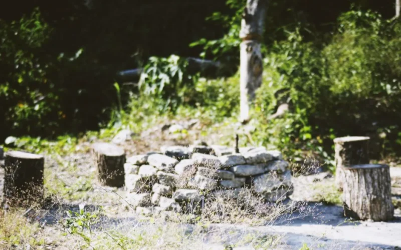 A rustic stone fire pit surrounded by tree stumps in a sunny, rural setting.