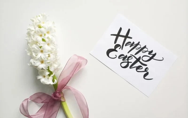 White hyacinth with ribbon and Happy Easter card on a white background.