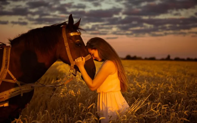 A woman in a white dress gently embraces a horse in a golden wheat field during sunset.