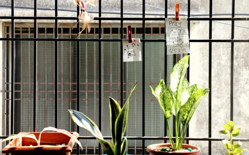A collection of potted plants in front of a sunlit window with motivational notes attached to the grill.