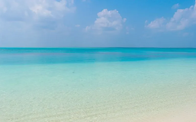 A tranquil beach scene showcasing crystal-clear turquoise waters and a blue sky in the Maldives, perfect for travel inspiration.