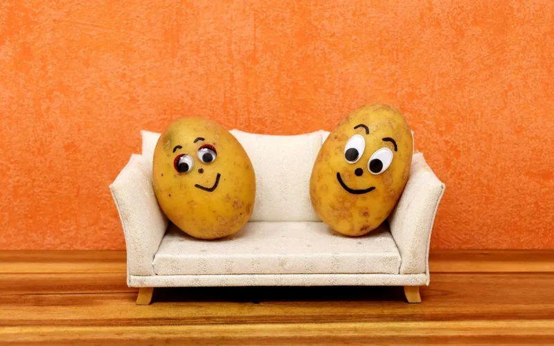 couch potatoes, zabawa, ziemniaki, leniuchowanie, sofa, kanapa, uroczy, twarze, mało, razem, usiąść, zabawny