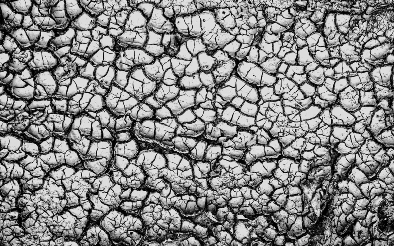 drought, earth, dirt, dehydrated, cracks, dry, soil, nature, structure, texture, ground, free picture, free texture, klimat, susza, ziemia, wyschnięta, tekstura, brud, wysuszony, darmowe zdjęcia, dirt, dirt, dirt, dry, dry, dry, texture, texture, texture, texture, texture, ground