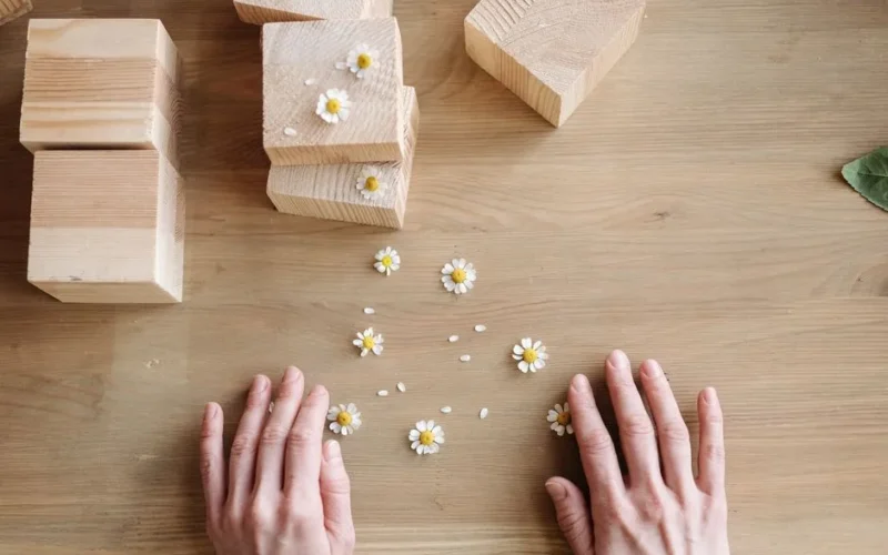 Hands surrounded by wooden blocks and chamomile flowers on a wooden surface.