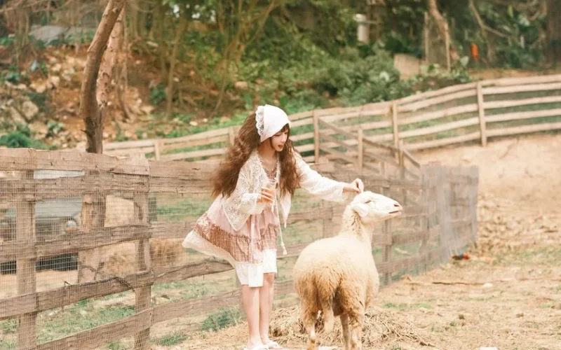 Young woman in vintage attire petting a sheep in a rural farm environment.