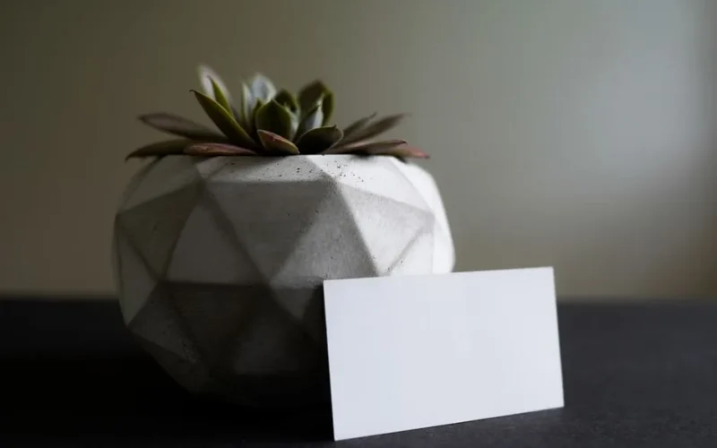 A stylish geometric concrete planter with a succulent and blank business card for mockups.